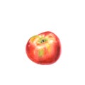 Botanical watercolor illustration of red ripe Apple isolated on a white Royalty Free Stock Photo