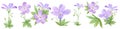 Botanical watercolor illustration set of lilac geranium flowers isolated on white background. Perfect for web design, cosmetics Royalty Free Stock Photo