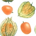 Botanical Watercolor Physalis Seamless Pattern