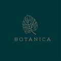 Botanics vector logo. Bio cosmetics emblem. Organic product sign. Leaf illustration Royalty Free Stock Photo