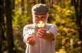 Botanist examine herbs. Bearded grandfather in forest. Man enjoy autumn nature. Curiosity to botany. Explore world Royalty Free Stock Photo