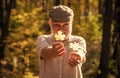 Botanist examine herbs. Bearded grandfather in forest. Man enjoy autumn nature. Curiosity to botany. Explore world