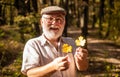 Botanist examine herbs. Old man collect leaves. Bearded grandfather in forest. Man enjoy autumn nature. Curiosity to Royalty Free Stock Photo