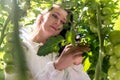 Botanist inspecting tomato plants