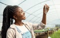 Botanist looking at a plant sample. Young farmer holding a test tube sample. Farmer holding chemistry plant sample Royalty Free Stock Photo