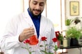 Botanist scientist in hold chemical extraction glass flask standing near red rose flower, biological researcher man do science