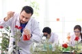 Botanist scientist holding flask and dropping red chemical extraction to red rose flower, biological researcher man does science Royalty Free Stock Photo