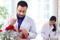 Botanist scientist holding flask and dropping red chemical extraction to red rose flower, biological researcher man does science Royalty Free Stock Photo