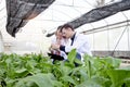 Botanist scientist woman and man in lab coat work together on experimental plant plots, male biological researcher holds Royalty Free Stock Photo