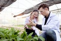 Botanist scientist woman and man in lab coat work together on experimental plant plots, male biological researcher holds