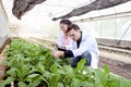 Botanist scientist woman and man in lab coat work together on experimental plant plots, male biological researcher holds