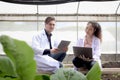Botanist scientist woman and man in lab coat work together on experimental plant plots, two biological researchers hold laptop and