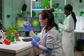 Botanist woman looking at petri dish with leaf sample checking gmo test