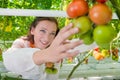 Botanist working in green house Royalty Free Stock Photo