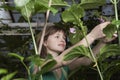 Botanist Working In Greenhouse Royalty Free Stock Photo