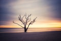 Botany Bay beach at cloudy sunset