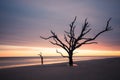 Botany Bay beach at cloudy sunset