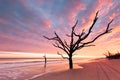 Botany Bay beach at cloudy sunset