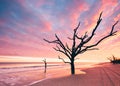 Botany Bay beach at cloudy sunset