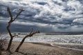 Botany Bay Beach