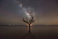 Botany Bay Plantation Beach at night