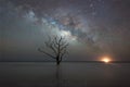 Botany Bay Plantation Beach at night