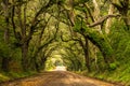 Botany Bay Road Royalty Free Stock Photo