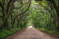 Botany Bay Road in South Carolina Royalty Free Stock Photo