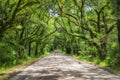 Botany Bay Road in South Carolina Royalty Free Stock Photo