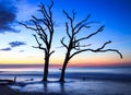 Seascape Botany Bay Edisto South Carolina Lowcountry Trees Royalty Free Stock Photo