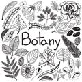 Botany biology doodle handwriting icons plants and trees