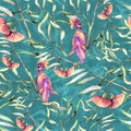 Botany eucaliptus with flowers and pink birds. Seamless pattern watercolor illustraion Royalty Free Stock Photo