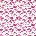 Botany flowers red watercolor seamless pattern on white background