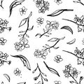 Botany forget me not pattern. Line art vector repeating design.