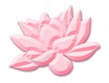 Pink lotus flower in cartoon style isolated on white background.