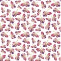 Botany illustration Watercolor grape fruit on white background. Seamless watercolor pattern