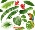 Botany. Set of leaves and flowers. Tropical plants. 3d realistic vector icons Royalty Free Stock Photo