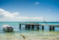 Botes anchored on the beach at Los Roques National Park Royalty Free Stock Photo
