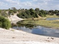 Boteti River, Makgadikgadi National Park, Botswana Royalty Free Stock Photo