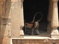 Both are in the famous stepwell Chand Baori well in the village of Abhaneri, Rajasthan, India Royalty Free Stock Photo