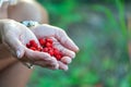 Both hands of middle aged woman with red ripe wild strawberries inside, on blurry green garden or forrest background