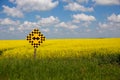 Both ways road sign in Canada, wih beautiful blossoming canola field in the background