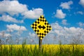 Both ways road sign in Canada, wih beautiful blossoming canola field in the background