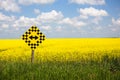 Both ways road sign in Canada, wih beautiful blossoming canola field in the background