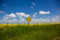 Both ways road sign in Canada, wih beautiful blossoming canola field in the background