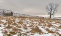 Derelict Bothy in the Scottish Mountains Royalty Free Stock Photo