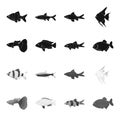 Botia, clown, piranha, cichlid, hummingbird, guppy,Fish set collection icons in black,monochrome style vector symbol