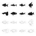 Botia, clown, piranha, cichlid, hummingbird, guppy,Fish set collection icons in black,outline style vector symbol stock