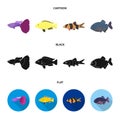 Botia, clown, piranha, cichlid, hummingbird, guppy,Fish set collection icons in cartoon,black,flat style vector symbol