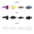 Botia, clown, piranha, cichlid, hummingbird, guppy,Fish set collection icons in cartoon,black,outline style vector